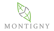 Montigny Investments