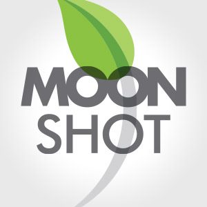 Moonshot