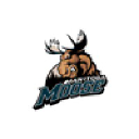 Manitoba Moose