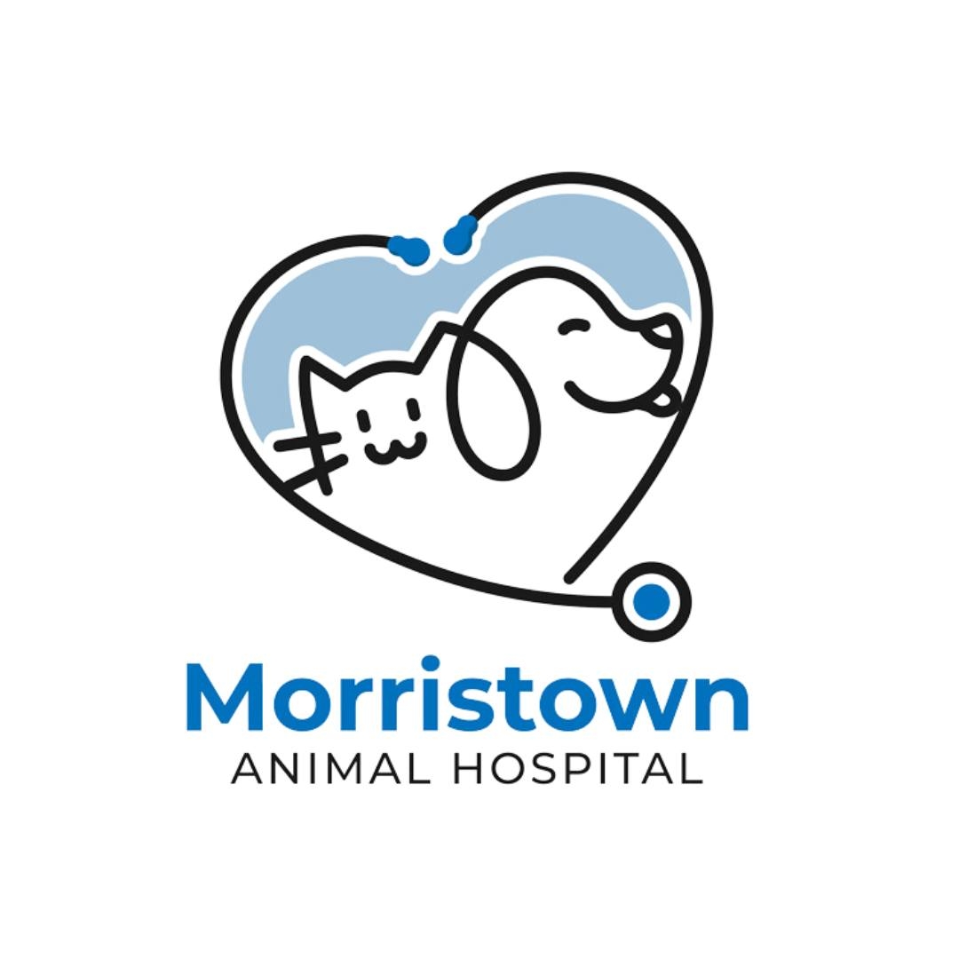 Morristown Animal Hospital