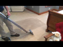 Mr. Carpet Cleaning