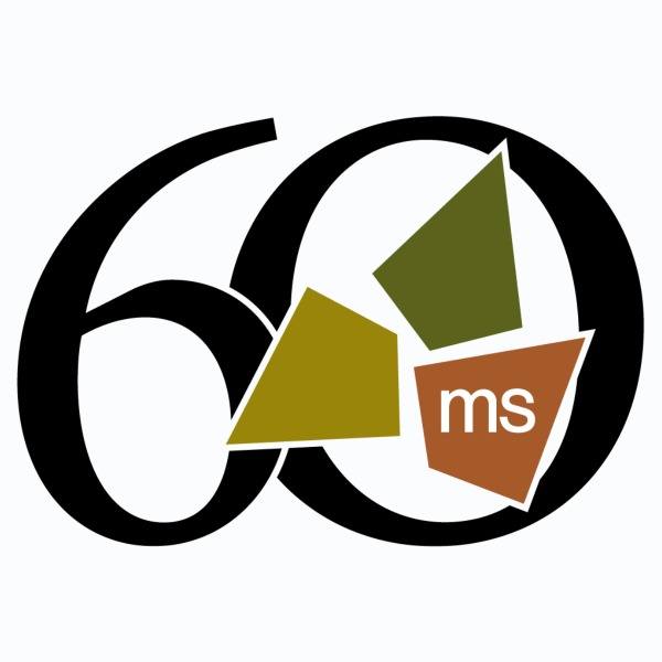 Ms Consultants Logo