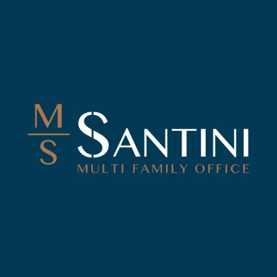 MSSantini Consulting