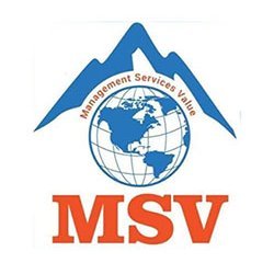 MSV International