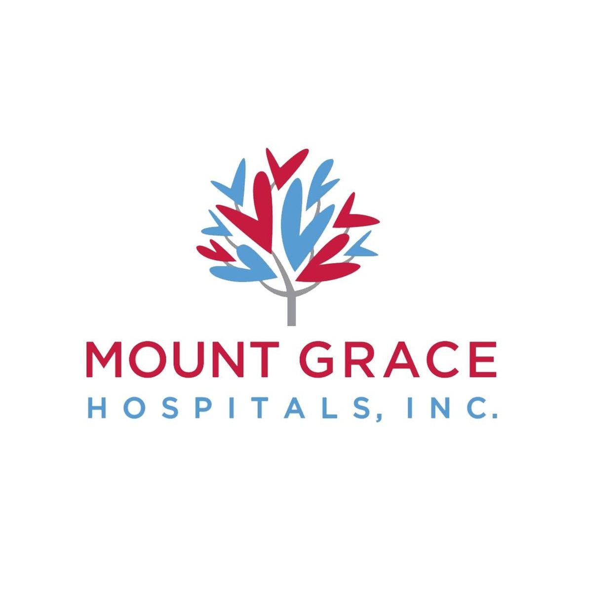 Mount Grace Hospitals