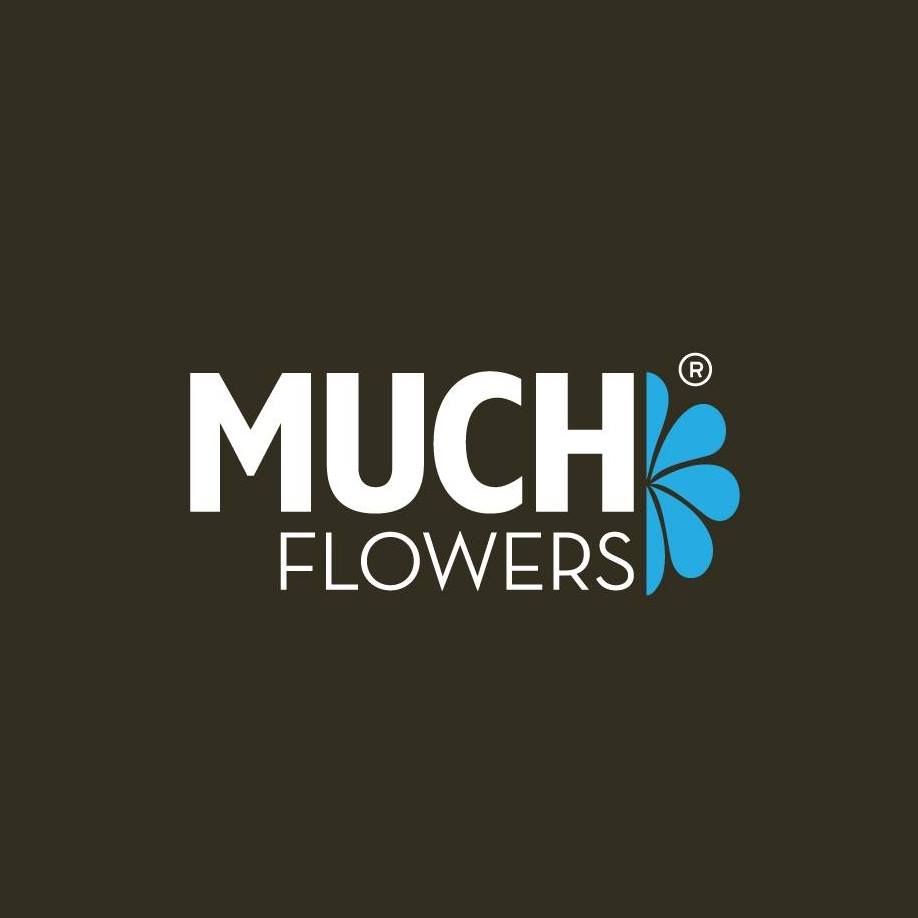 Muchflowers