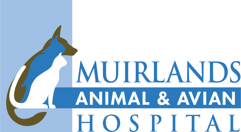 Muirlands Animal Hospital