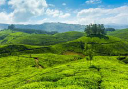 Munnar