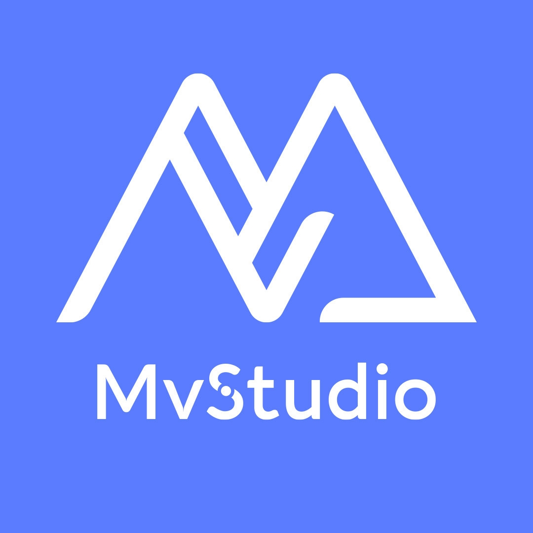 MV Studio SPRL