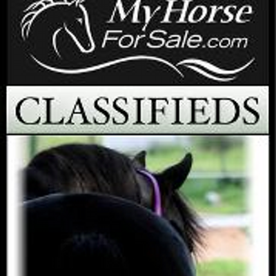 MyHorseForSale.com