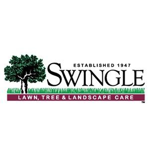 Swingle