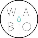 Wabo