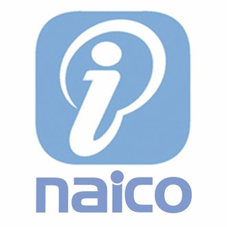 Naico Information Technology Services