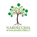 Nardecchia Cs