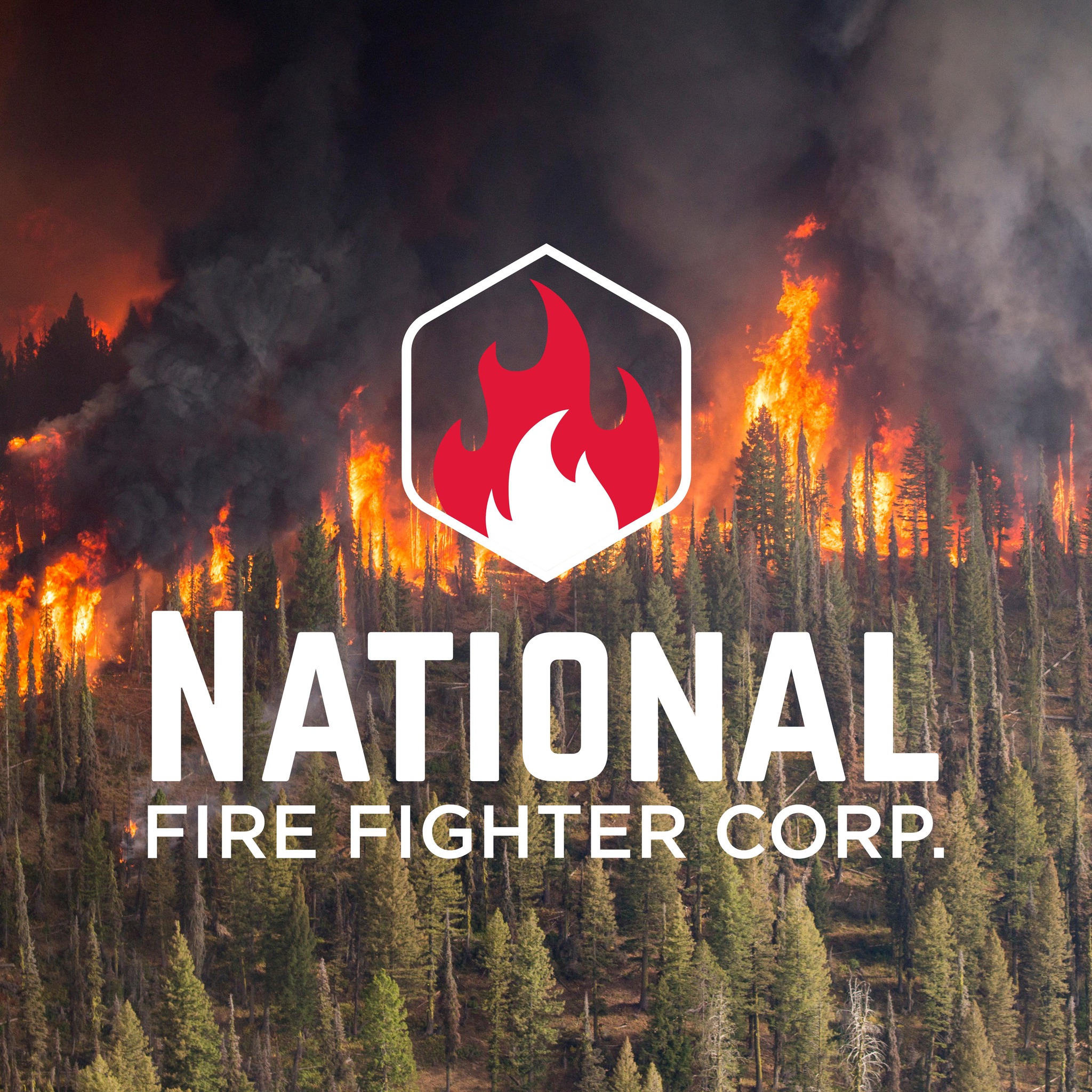 National Fire Fighter Wildland