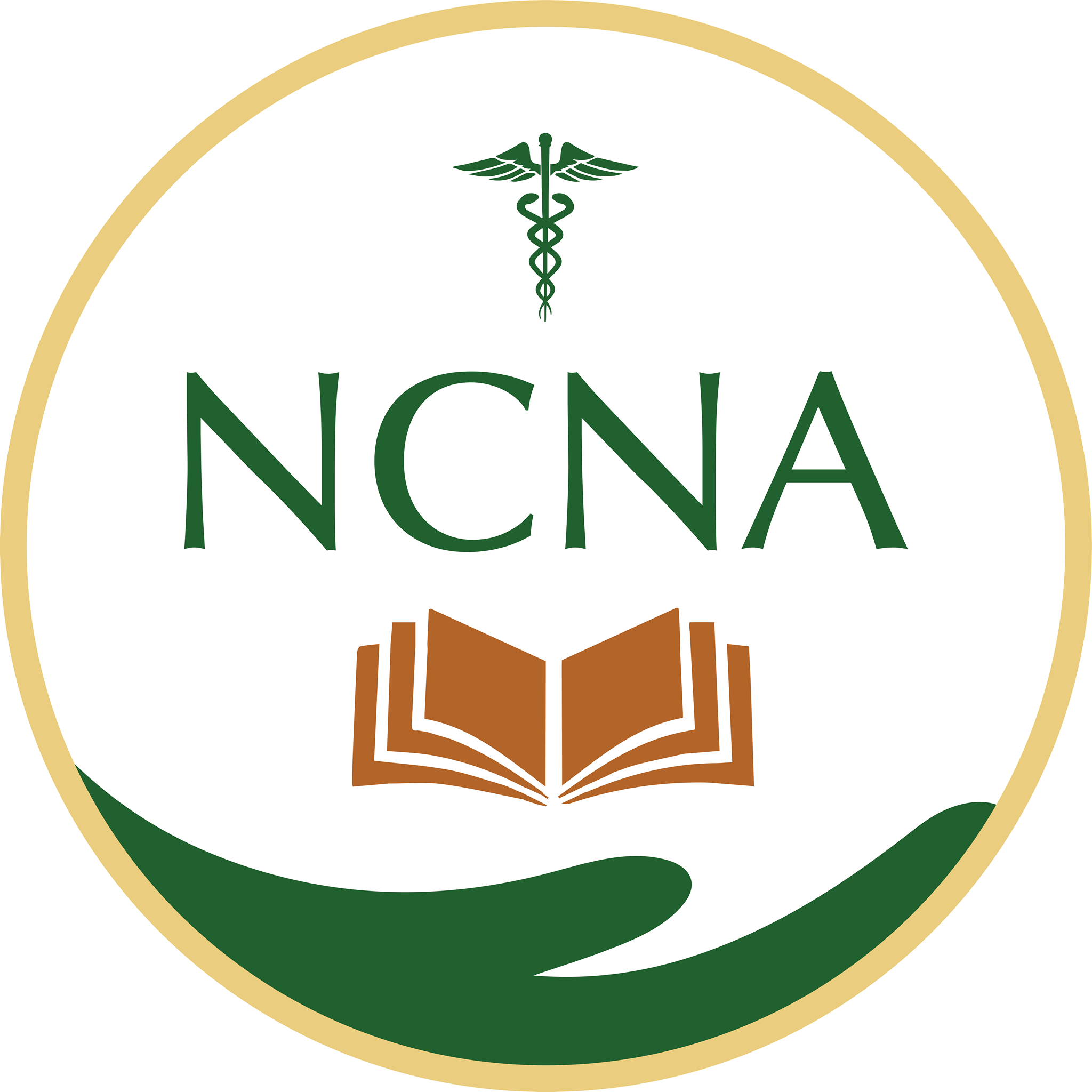 Northern California Nursing Academy