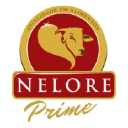 Nelore Prime