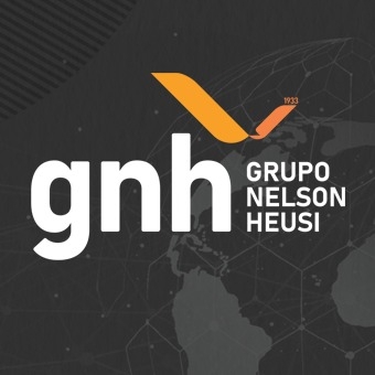 Grupo Nelson Heusi