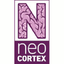 Neocortex Development