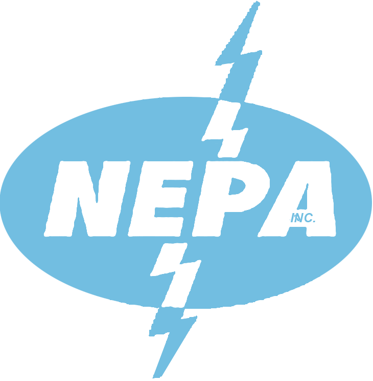 National Electric Power Agency