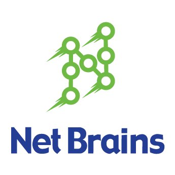 Net Brains Services