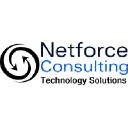 Netforce Consulting