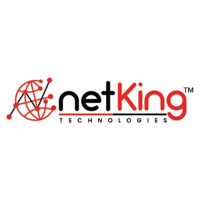 Netking Web Services Pvt. Ltd