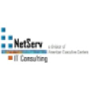 Netserv IT