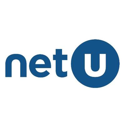 NetU Consultants