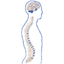 Neurosurgical Associates