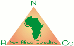 New Africa Consulting