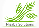 Nisaba Solutions