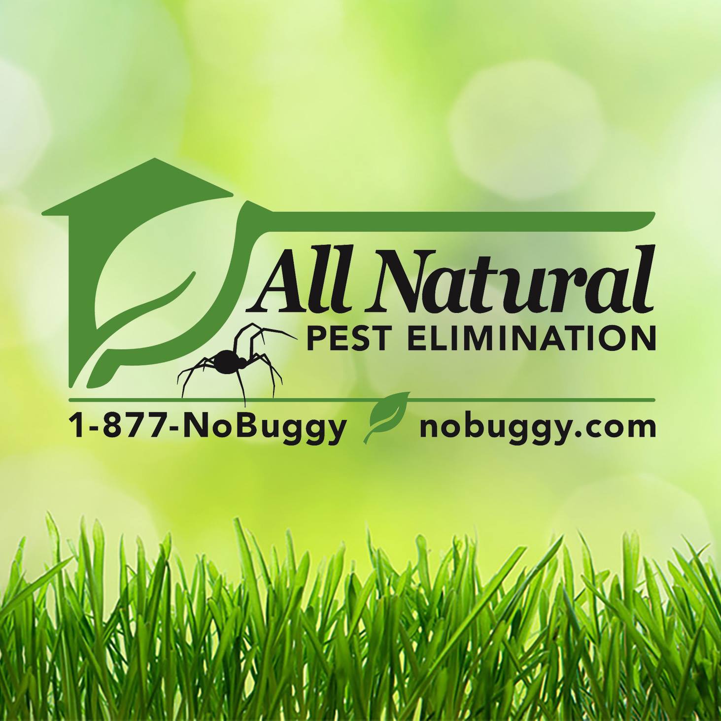 All Natural Pest Elimination