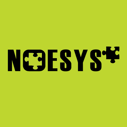 Noesys Software Pvt