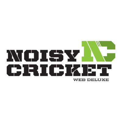 Noisy Cricket