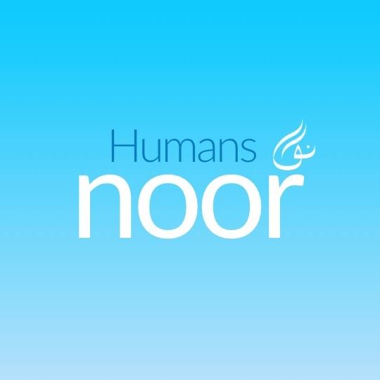 Noor Human Consulting