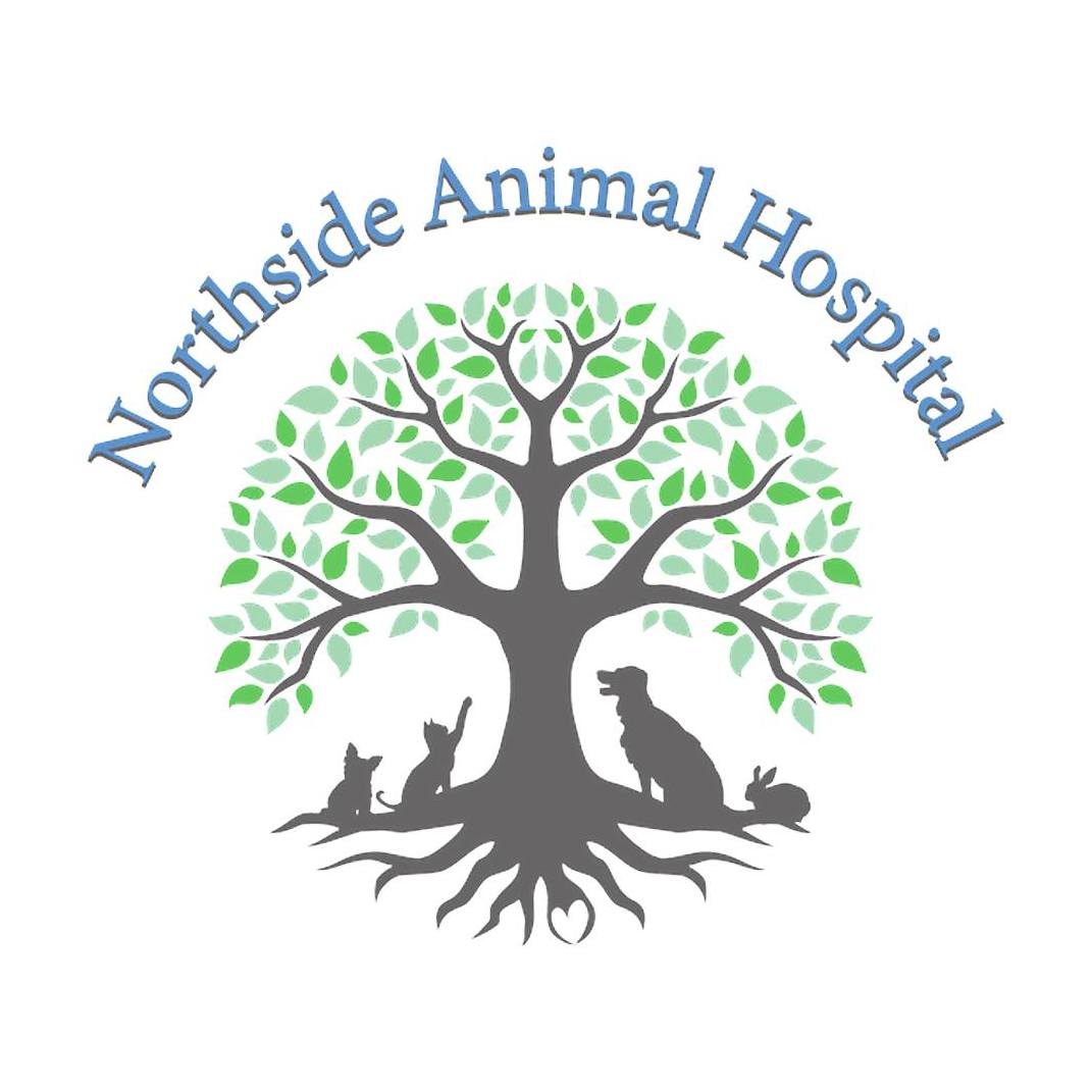 Northside Animal Hospital