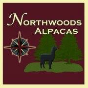 Northwoods Alpacas