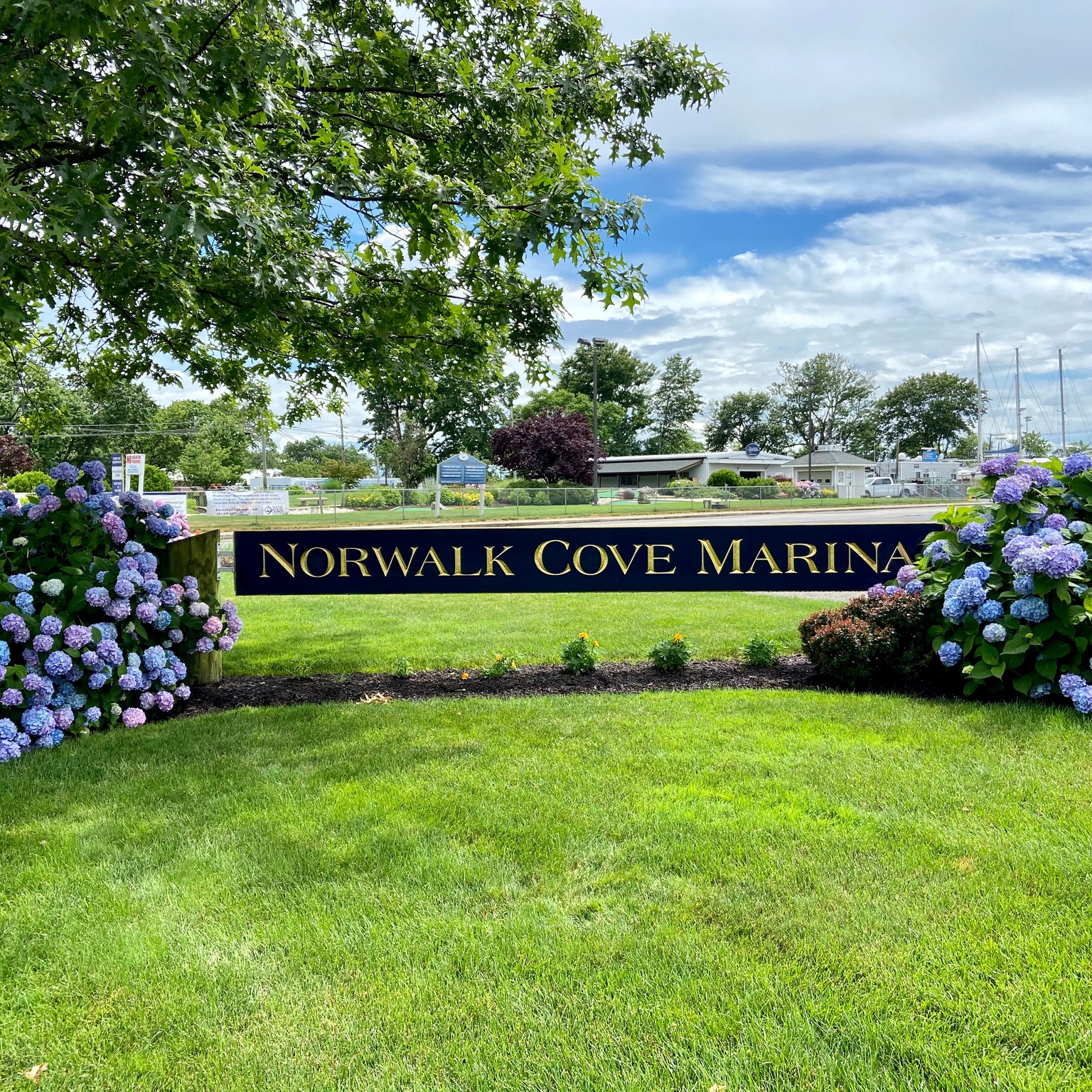 Norwalk Cove Marina