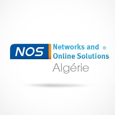 Networks and Online Solutions " N.O.S