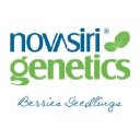 Nova Siri Genetics