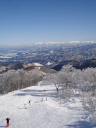 Nozawa Holidays