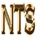 Nunez Technologies and Systems C.S NTS