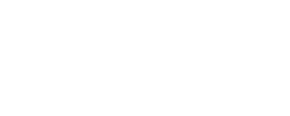 Nubiz Solutions Private