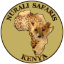 Nurali Safaris Kenya