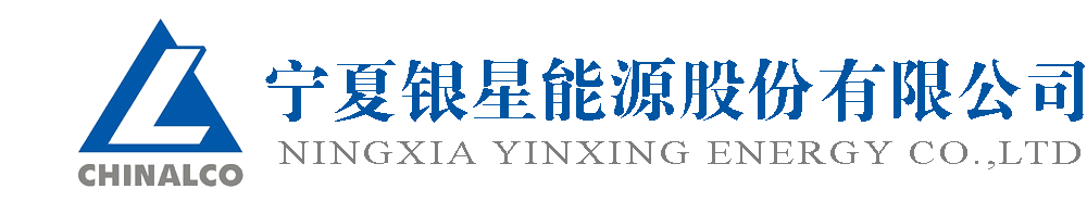 Ning Xia Yin Xing Energy Co.