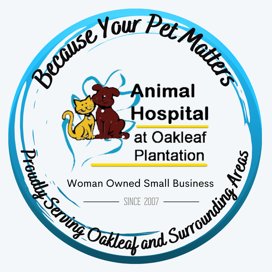 Animal Hospital at Oakleaf Plantation