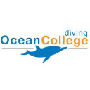 Ocean College Dive Centre