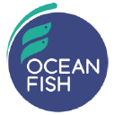 Ocean Fish