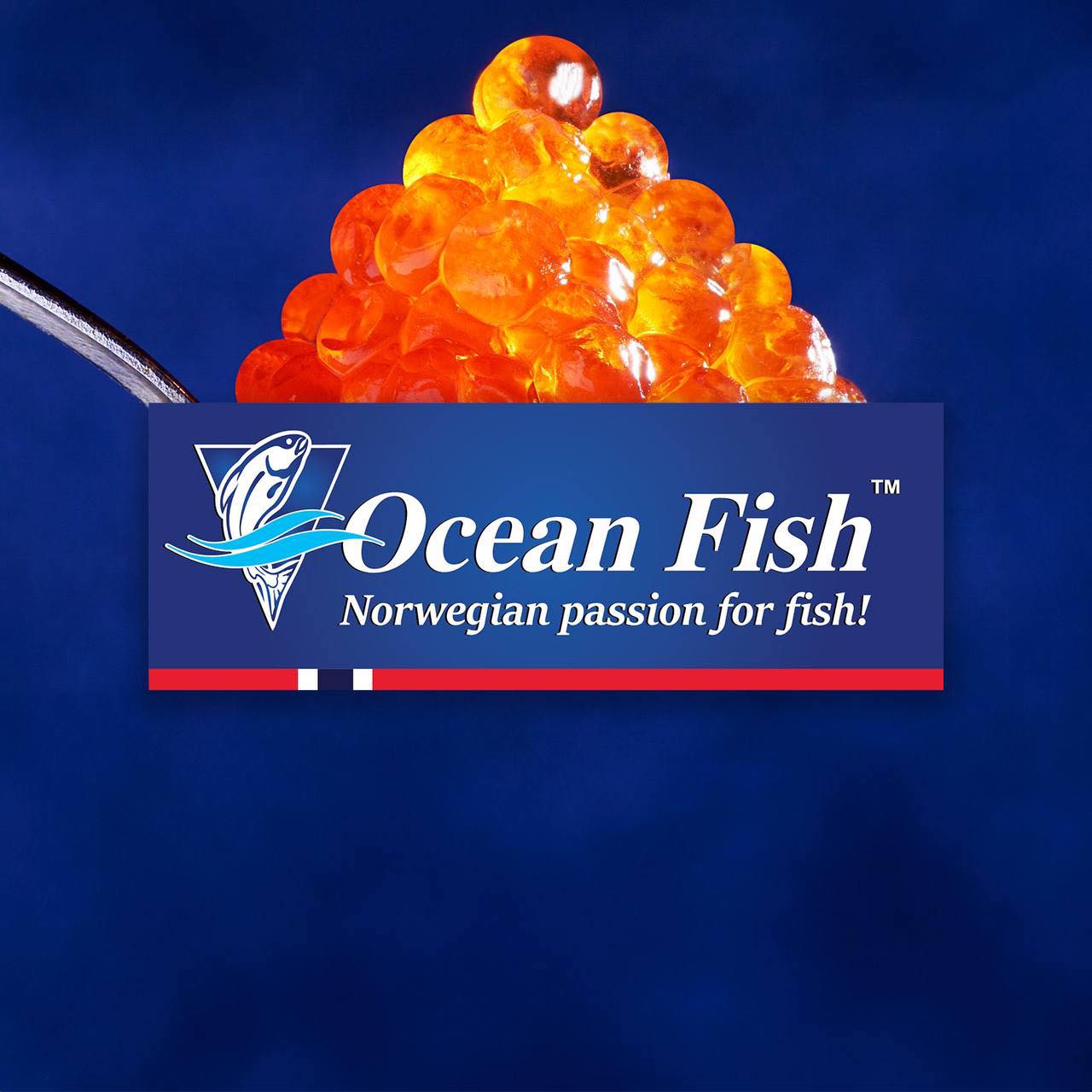 OCEAN FISH SRL